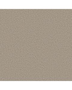Shaw TIMELESS TONE Open Canyon Carpet - SH-5E916-00103