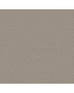 Shaw TIMELESS TONE Pebble Path Carpet - SH-5E916-00104