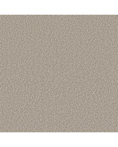 Shaw TIMELESS TONE Soft Sand Carpet - SH-5E916-00105