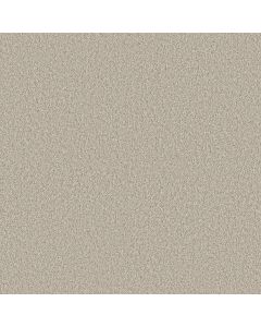 Shaw TIMELESS TONE Baja Carpet - SH-5E916-00106