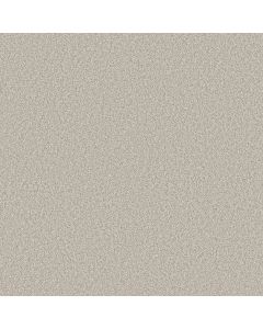 Shaw TIMELESS TONE Cool Winter Carpet - SH-5E916-00107