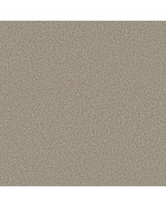 Shaw TIMELESS TONE Chateau Carpet - SH-5E916-00108
