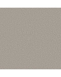 Shaw TIMELESS TONE Twilight Taupe Carpet - SH-5E916-00109