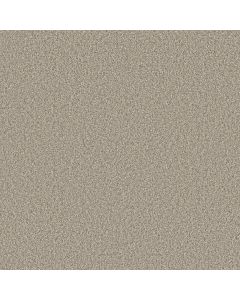 Shaw TIMELESS TONE Safari Carpet - SH-5E916-00110