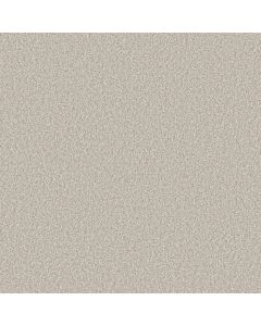 Shaw TIMELESS TONE Alpine Snow Carpet - SH-5E916-00150