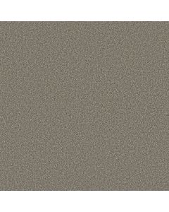 Shaw TIMELESS TONE Olive Tree Carpet - SH-5E916-00300