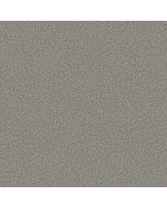 Shaw TIMELESS TONE Refreshing Carpet - SH-5E916-00301