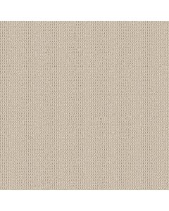 Shaw KNITTED TONE Sweet Cream Carpet - SH-5E917-00100