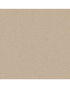 Shaw KNITTED TONE Summertime Carpet - SH-5E917-00102