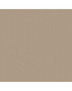 Shaw KNITTED TONE Open Canyon Carpet - SH-5E917-00103