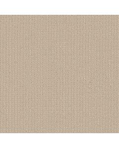 Shaw KNITTED TONE Soft Sand Carpet - SH-5E917-00105