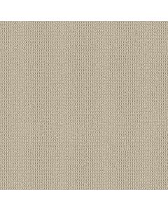 Shaw KNITTED TONE Baja Carpet - SH-5E917-00106