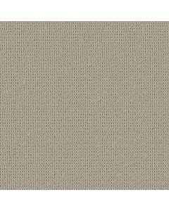 Shaw KNITTED TONE Twilight Taupe Carpet - SH-5E917-00109