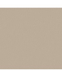 Shaw CRAFTED TONE Summertime Carpet - SH-5E918-00102