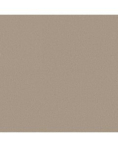 Shaw CRAFTED TONE Open Canyon Carpet - SH-5E918-00103