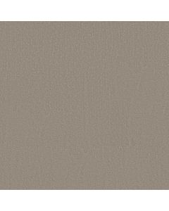 Shaw CRAFTED TONE Pebble Path Carpet - SH-5E918-00104