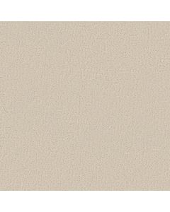 Shaw CRAFTED TONE Soft Sand Carpet - SH-5E918-00105