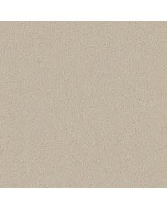 Shaw CRAFTED TONE Baja Carpet - SH-5E918-00106