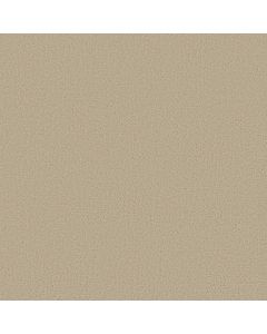 Shaw CRAFTED TONE Safari Carpet - SH-5E918-00110