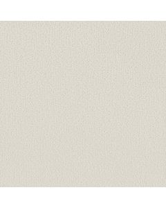 Shaw CRAFTED TONE Alpine Snow Carpet - SH-5E918-00150