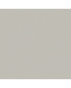 Shaw CRAFTED TONE Minimalist Carpet - SH-5E918-00500
