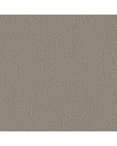 Shaw CURATED TONE Pebble Path Carpet - SH-5E919-00104