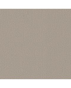 Shaw CURATED TONE Twilight Taupe Carpet - SH-5E919-00109