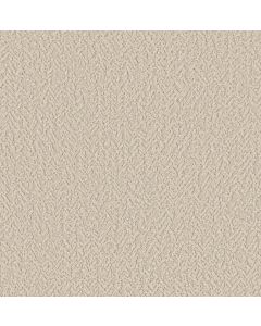 Shaw JOYFUL SPIRIT Whiskers Carpet - SH-5E931-00100