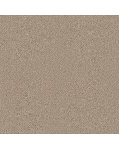 Shaw JOYFUL SPIRIT Sand Castle Carpet - SH-5E931-00103