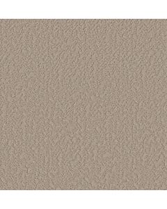 Shaw JOYFUL SPIRIT Picnic Carpet - SH-5E931-00109