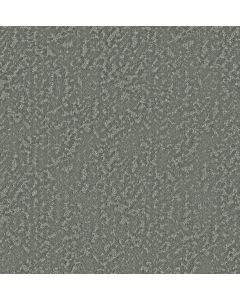 Shaw JOYFUL SPIRIT Dragonfly Carpet - SH-5E931-00301