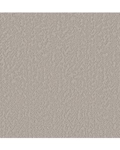 Shaw JOYFUL SPIRIT Warm Hug Carpet - SH-5E931-00501