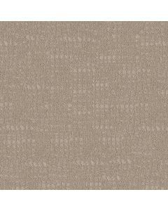 Shaw TAILORED CRAFT Linen Carpet - SH-5E933-00721