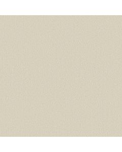 Shaw SMOOTH TONE BLUE Sweet Cream Carpet - SH-5E935-00100