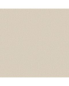 Shaw CLASSIC TONE BLUE Sweet Cream Carpet - SH-5E936-00100