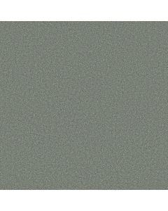 Shaw CLASSIC TONE BLUE Refreshing Carpet - SH-5E936-00301