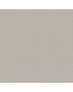 Shaw CLASSIC TONE BLUE Icy Mist Carpet - SH-5E936-00450