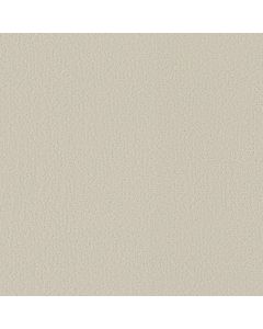 Shaw CRAFTED TONE BLUE Sweet Cream Carpet - SH-5E939-00100