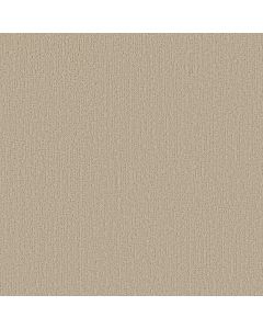 Shaw CURATED TONE BLUE Summertime Carpet - SH-5E940-00102