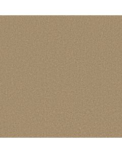 Shaw ENDLESS EVENING III Taffeta Carpet - SH-746R8-00107