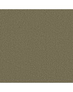 Shaw ENDLESS EVENING III Summerhouse Carpet - SH-746R8-00301