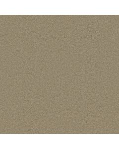Shaw ENDLESS EVENING III Driftwood Carpet - SH-746R8-00700