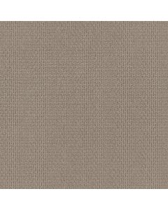 Shaw SPACE LINE Oyster Carpet - SH-812CC-00513