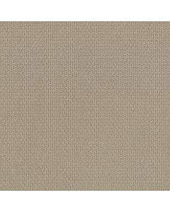 Shaw SAN SALVADOR Chic Cream Carpet - SH-812MT-00112