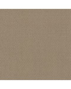 Shaw SAN SALVADOR Sandcastle Carpet - SH-812MT-00113