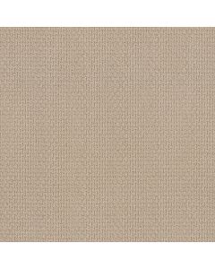 Shaw SAN SALVADOR Dream Dust Carpet - SH-812MT-00220