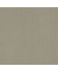 Shaw SAN SALVADOR Frosted Ivy Carpet - SH-812MT-00352