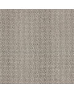 Shaw SAN SALVADOR Cement Carpet - SH-812MT-00512