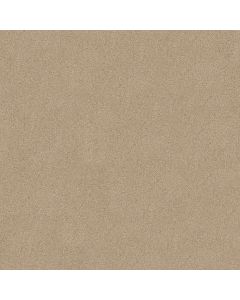Shaw DREAMS I Chic Cream Carpet - SH-814CC-00112