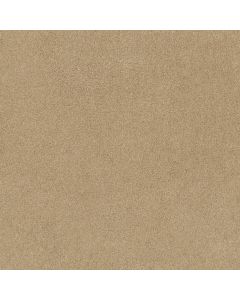 Shaw DREAMS I Semolina Carpet - SH-814CC-00212